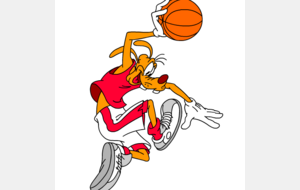 Tournoi Mini-Poussins